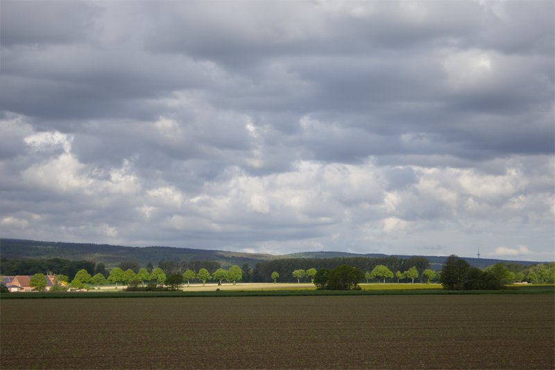 Wolken und Bäume, die durch das Sonnenlicht betont werden