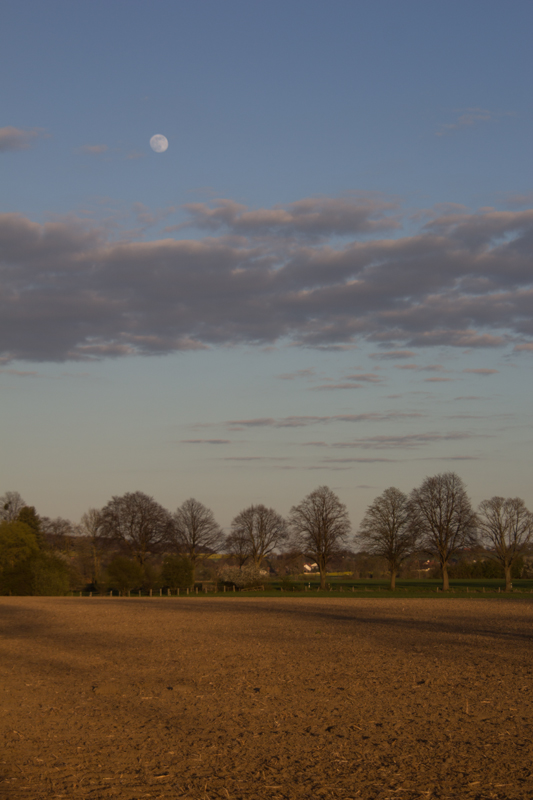 Landschaftsfotos - Vollmond über dem Feld