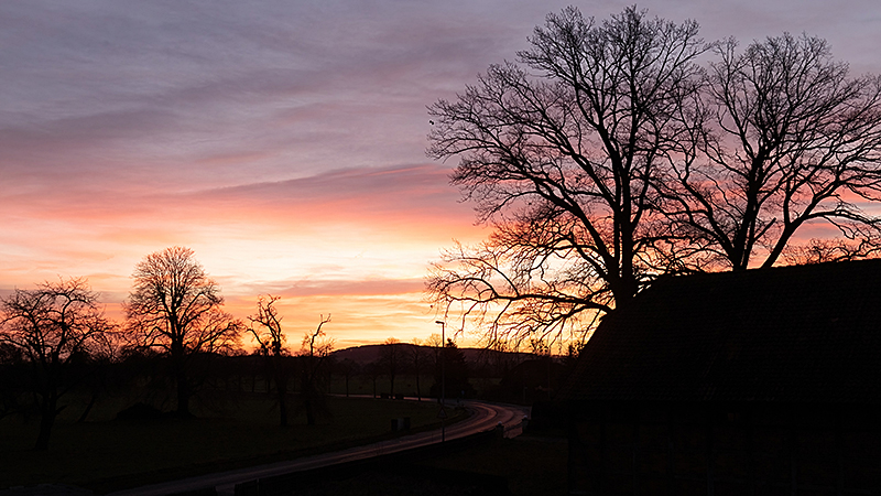 Bäume, Haus und Straße kurz vor Sonnenaufgang