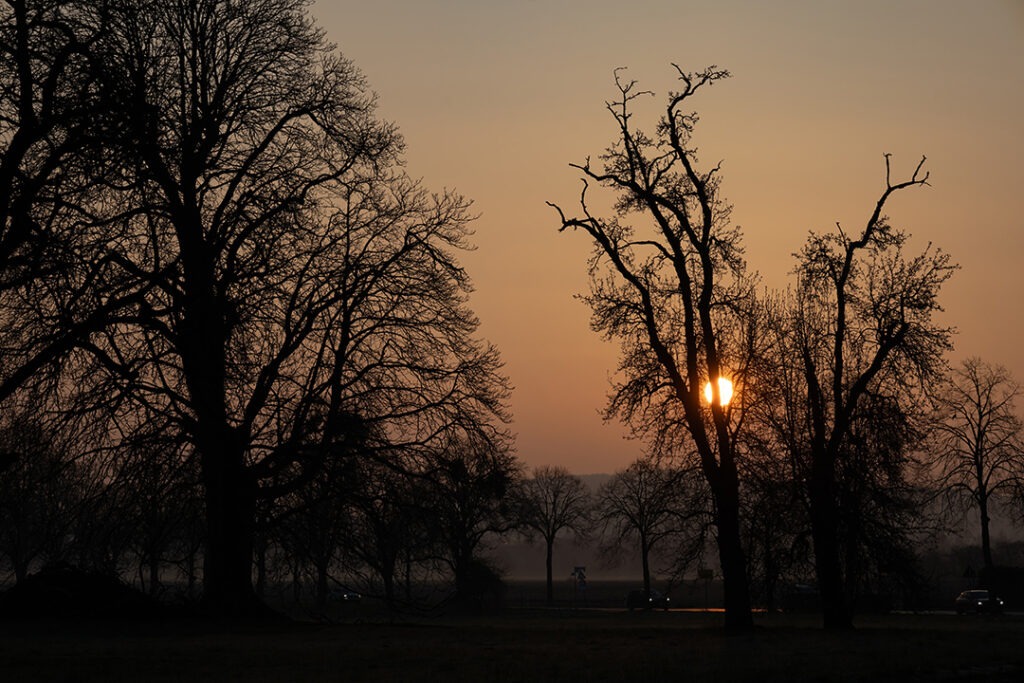 Noch ein Sonnenaufgang