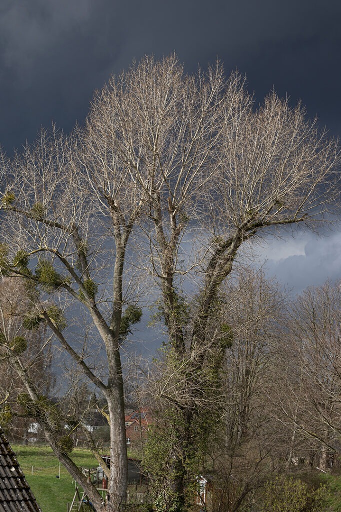 vor dem Regen