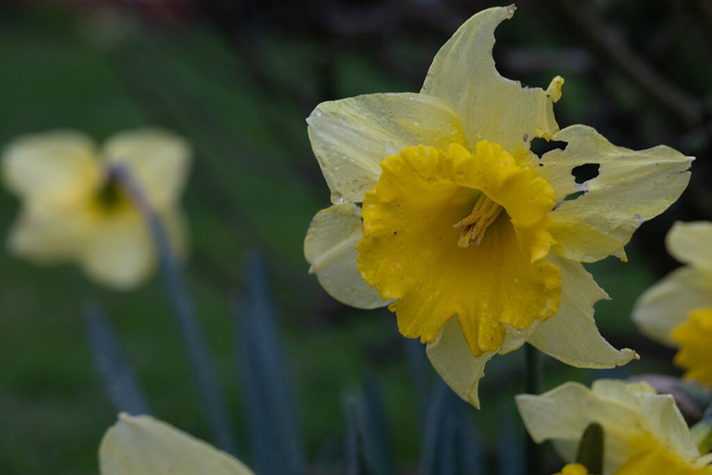 so ein verregneter Ostermontag